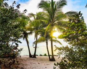 Wholesole Solar Supply of Fort Meyers, Florida has joined the SunEarth Distribtion Network.