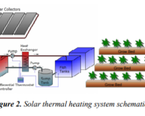 Another Great Application for Solar Hot Water: Aquaponics