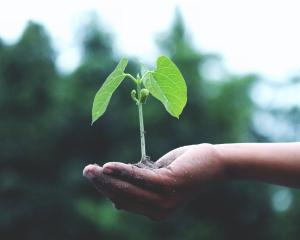 8 Things Sustainable Businesses Care About