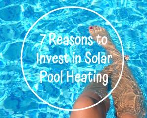 Seven Reasons to Swim with the Sun